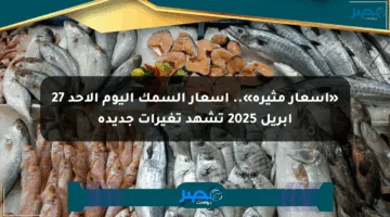 «أسعار مثيرة».. أسعار السمك اليوم الأحد 27 أبريل 2025 تشهد تغيرات جديدة